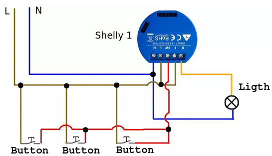 Introduction to Shelly 1